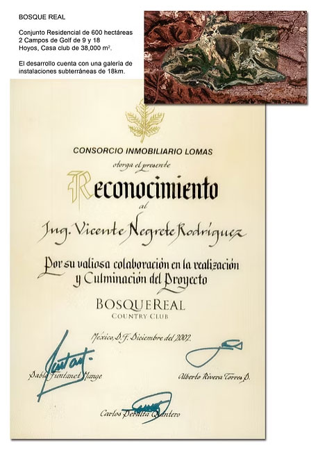 Proyecto 10